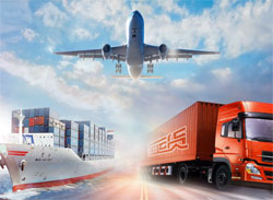 1711086932679photo_1_