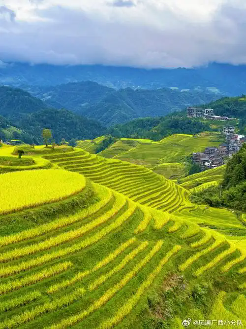 u=3586237647,366533402&fm=253&fmt=auto&app=120&f=J